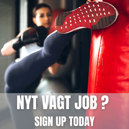 SØGER DUI NYT JOB ?