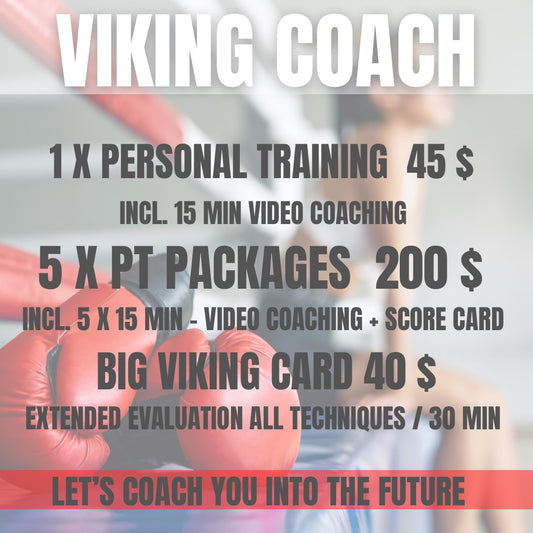 THE VIKING PRICES