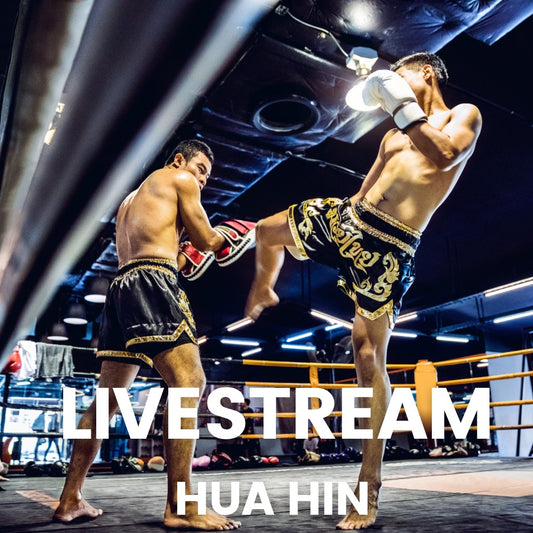 LIVESTREAM (HH)